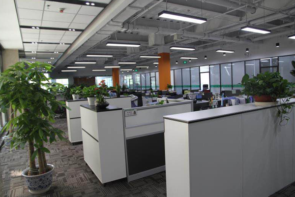 1604480418987160.png 7.png